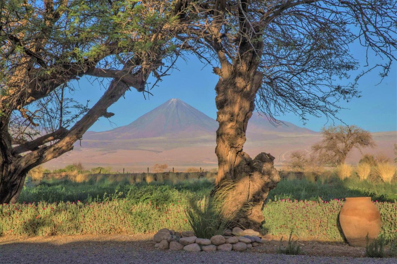 Villa Casita La Brea San Pedro de Atacama Exterior foto